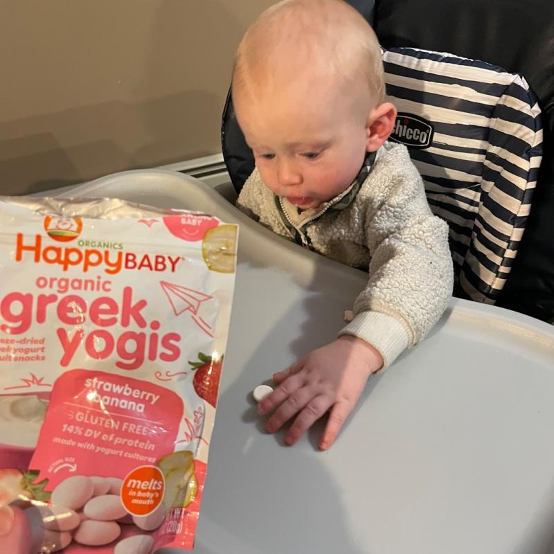 Buy HappyBaby Organics Yogis Freeze-Dried Yogurt & Fruit Snacks
