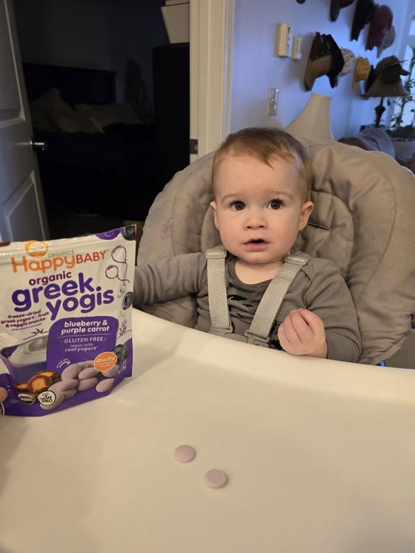 Organic Mixed Berry Yogis | Happy Baby Organics