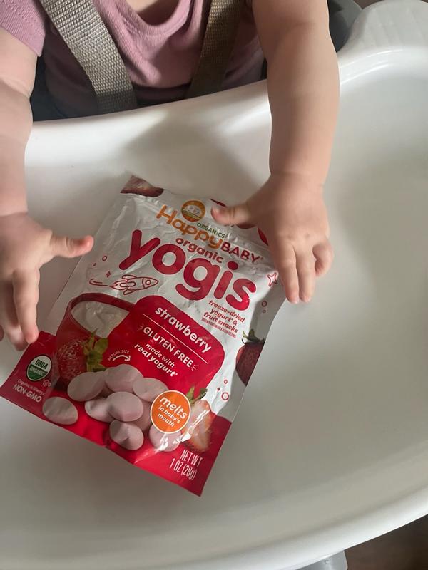 YOGINI FOOD 100 strawberry ヨギフ ヨギニフード 定期購入】Yoganic Life ヨギーニフード100 ストロベリー(1袋