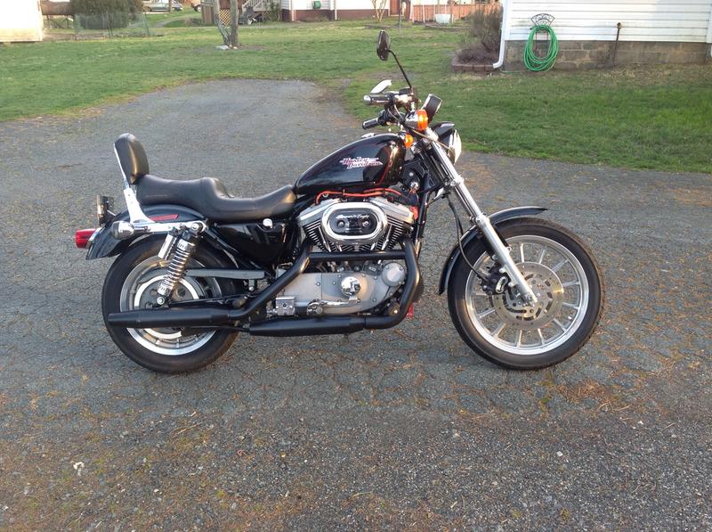 1200 Sportster uncovered