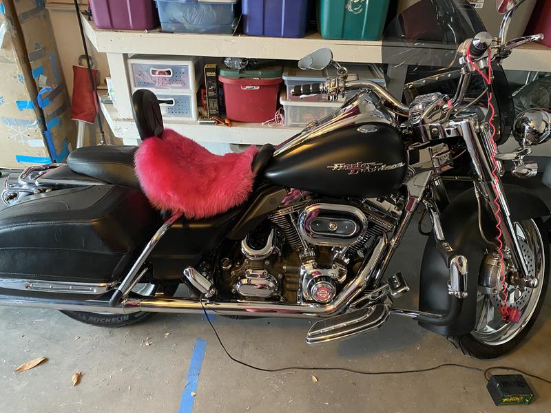 2008 RoadQueen Screamin Eagle 110 CVO