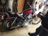 My first harley
