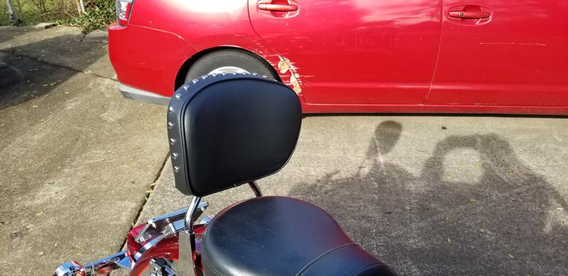 From the front, curve and studs visible.