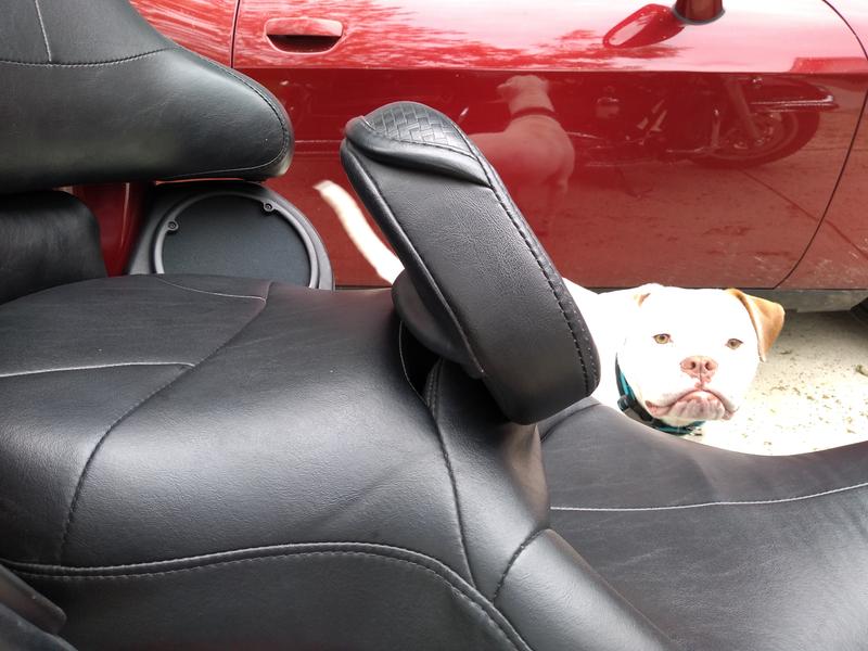 Seat Backrest