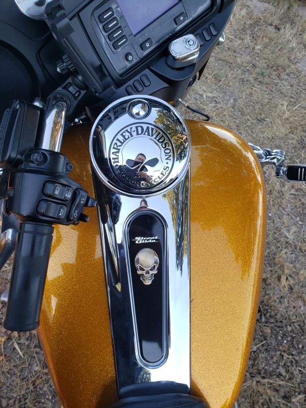 Willie G Skull Fuel Tank Console Door 61308-09A | Harley-Davidson USA