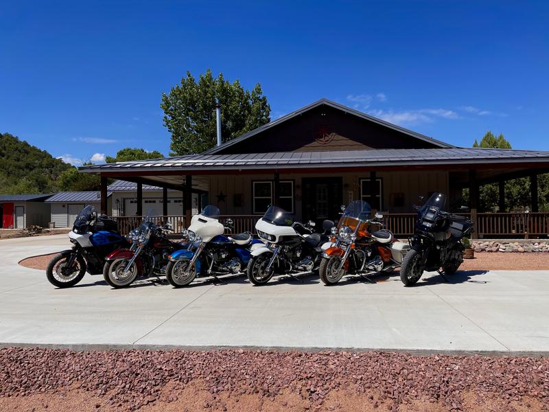 Loyal Harley consumers / collectors