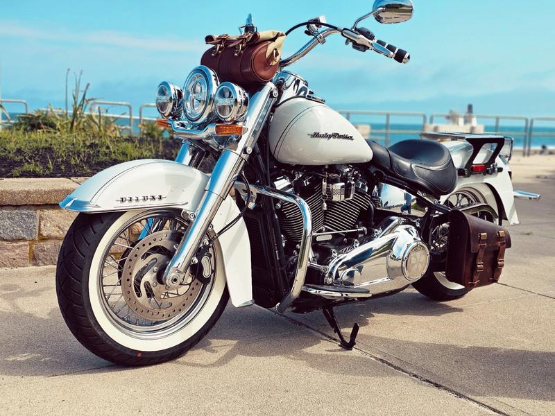 Softail deluxe.  I went with the brown bag to give it a more earthy feel. It definitely met my expectations