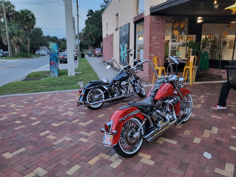 My Blue 2016 HD Softail Deluxe (Lucille)....