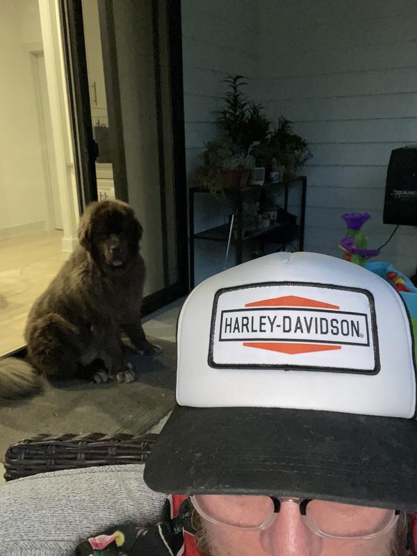 Men's Diamond Logo Patch Trucker Cap | Harley-Davidson USA