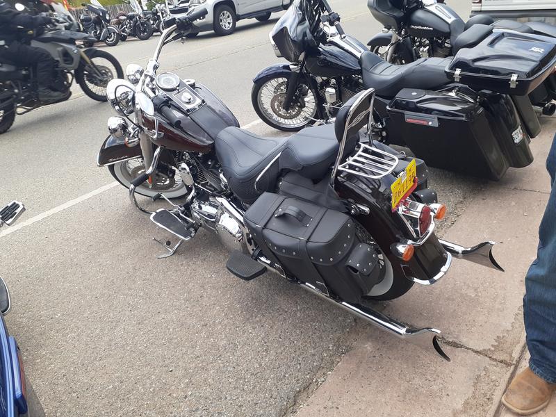 Back pillion seat.