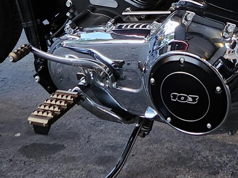 Dominion Shifter Peg 33600214 | Harley-Davidson USA