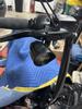 Visor slips off center occasionally when riding