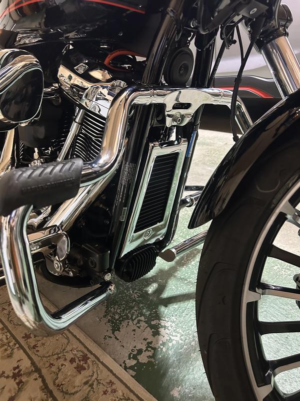 Installed engine guard