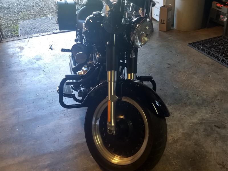 Mustache engine guard on Fatboy low.