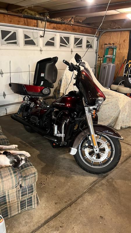 Going back together