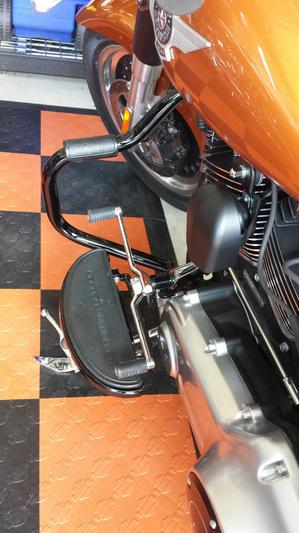 This is a sharp looking, low profile but functional guard.