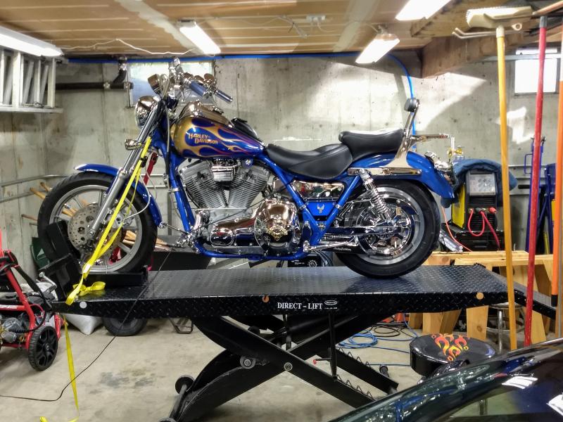FXR or Die!