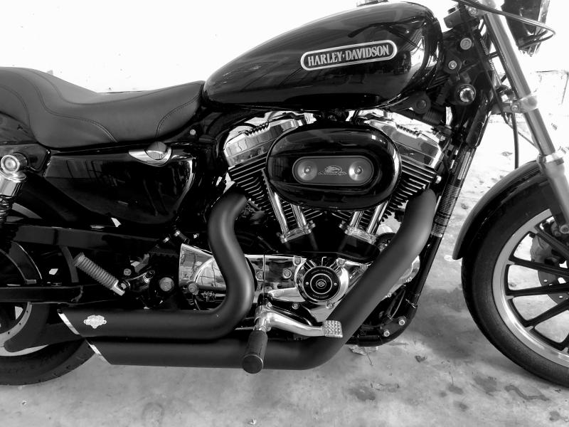 2009 XL200L