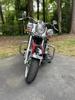 Softail Deluxe