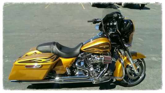 Old Yeller with 113
