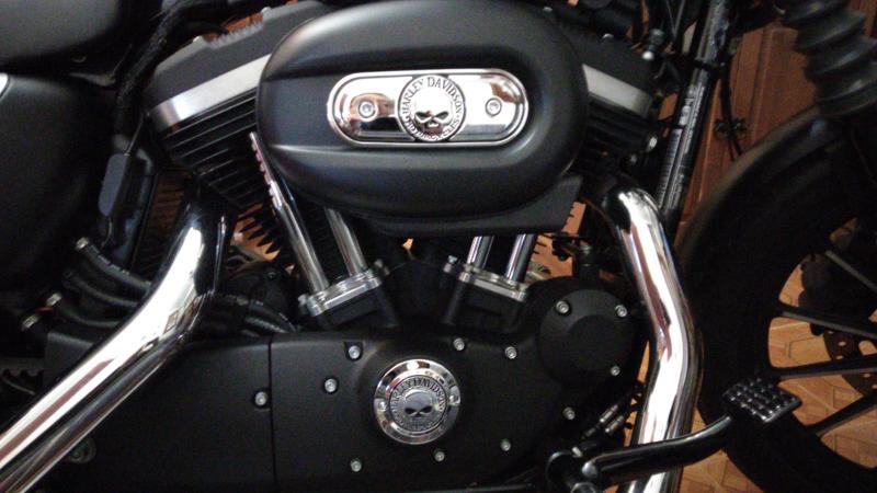 Willie G Skull Derby Cover 25440-04A | Harley-Davidson USA