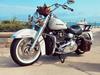 Softail deluxe.  I went with the brown bag to give it a more earthy feel. It definitely met my expectations