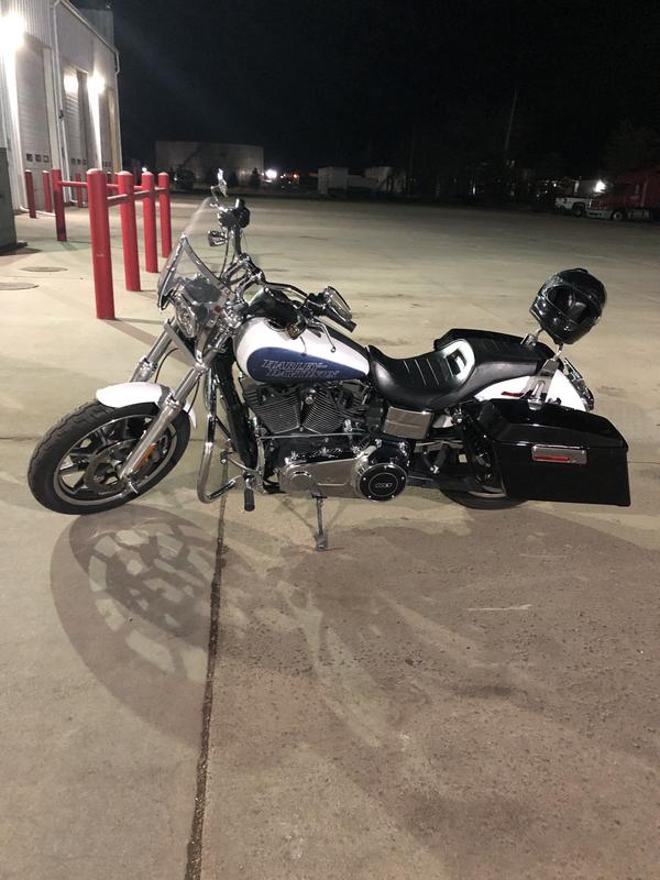 January riding