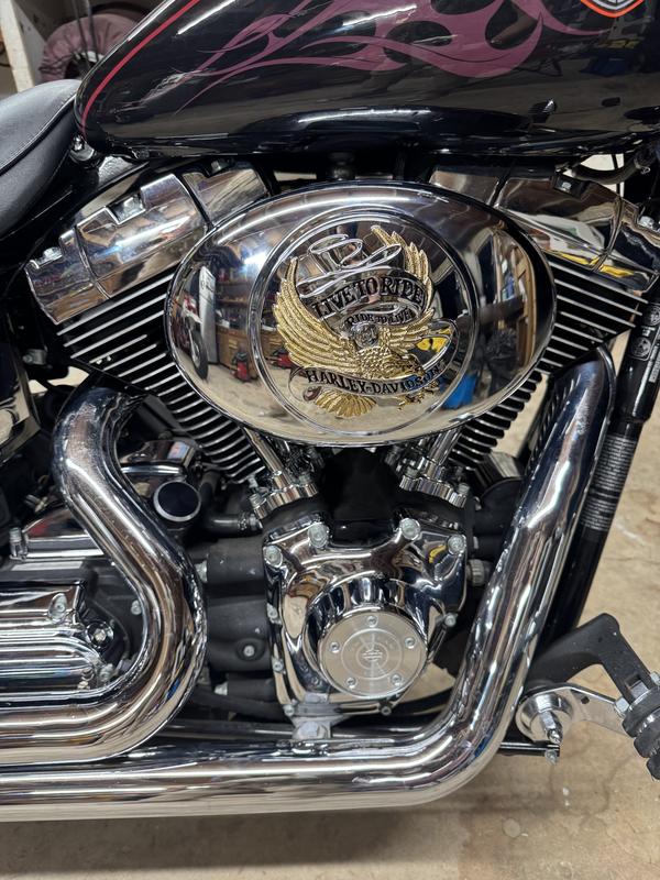 Live To Ride Gold Air Cleaner Trim 29328-99 | Harley
