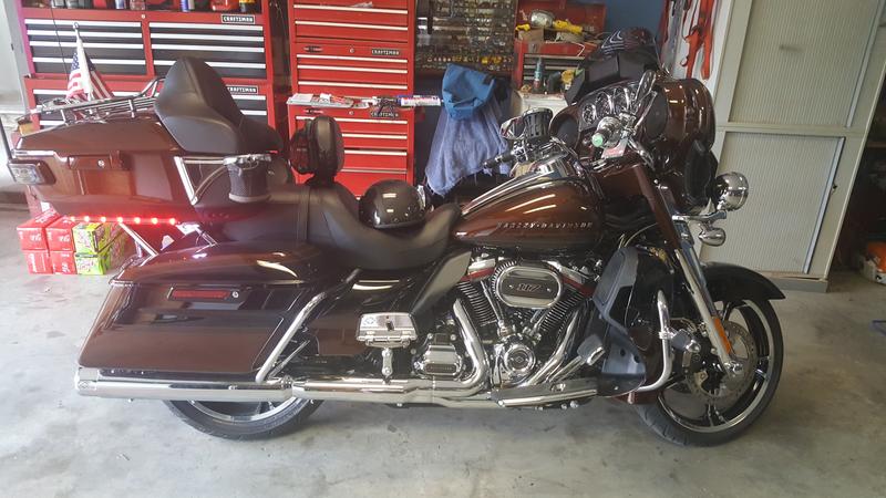 2019 cvo limited brand new