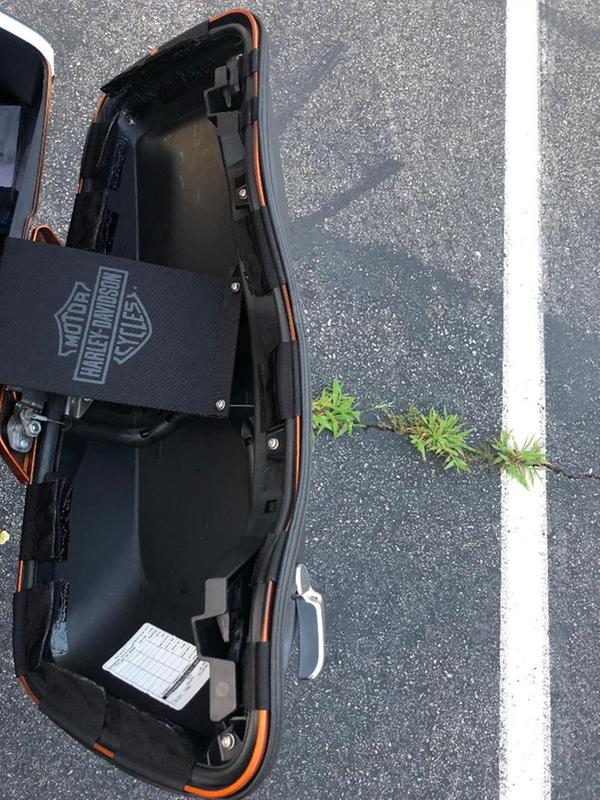 (Left side) inside of bag.