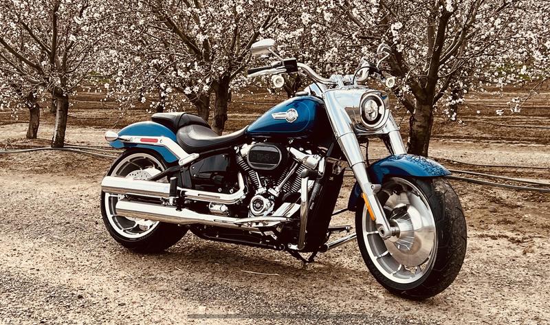 Blue Thunder - the bugs never heard it coming.