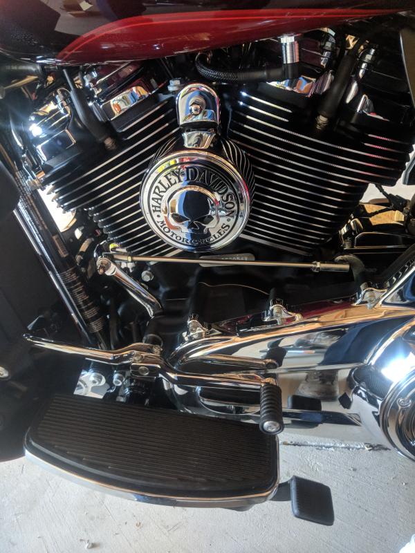 My new horn cover