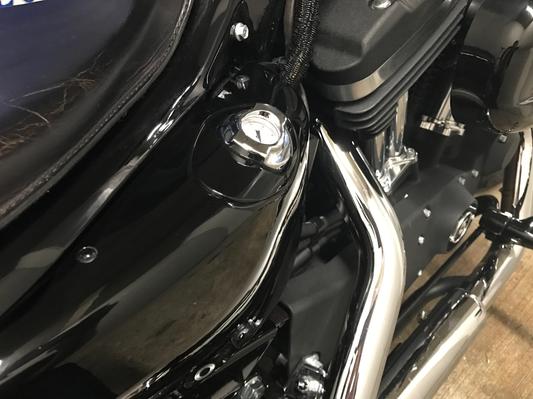 Black dipstick bezel