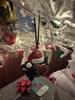 Santa Hog Ornament
