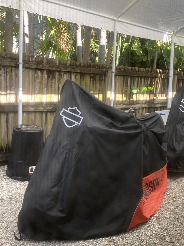 My Harleys are safe and happy in my side yard under cover as best I can away from prying eyes and theives.