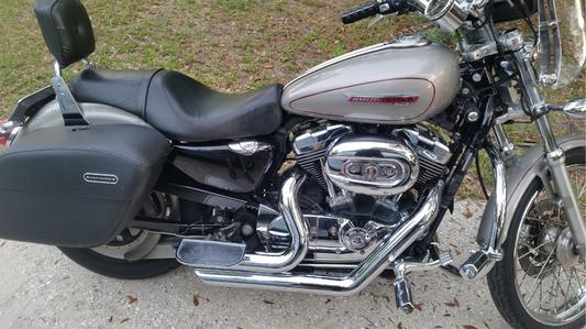 Saddlebags Installed