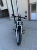 Softail