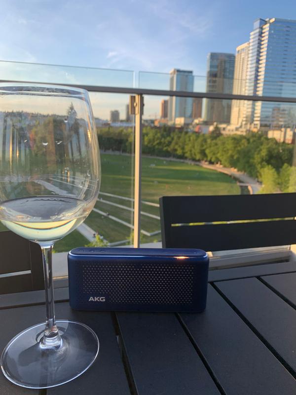 akg s30 speaker price