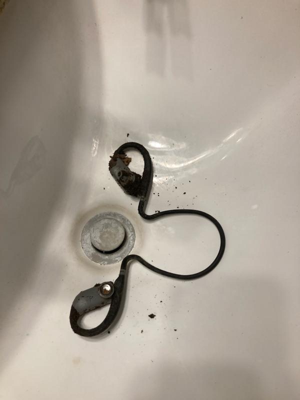 Immediately after I dug them from the earth, and before I soaked them.