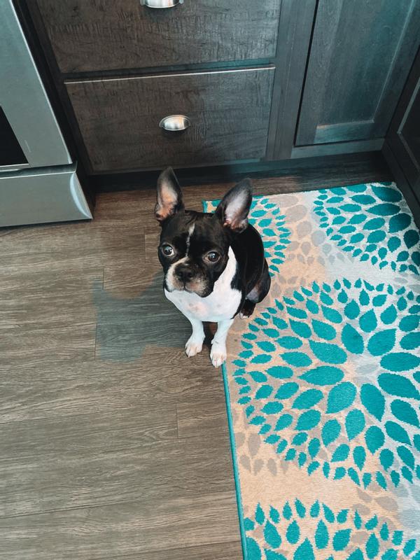 Photo - commentaire&nbsp;5.