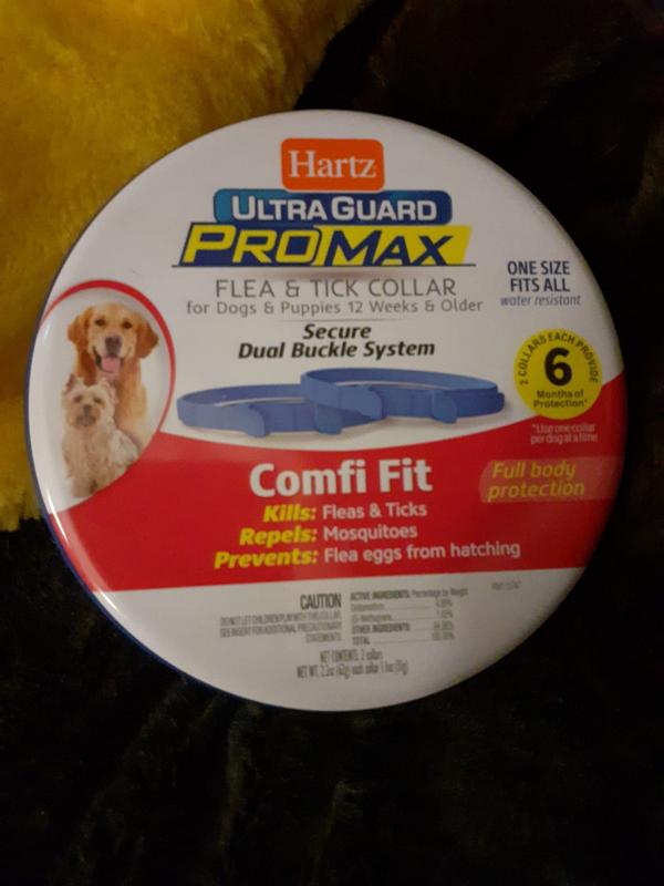 Hartz flea collar for dogs side effects best sale