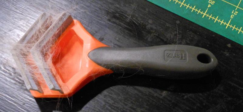 fur fetcher with fine hair from Daisy