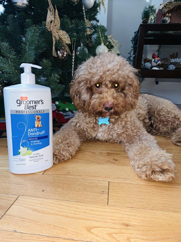 Best shampoo for goldendoodle puppy best sale