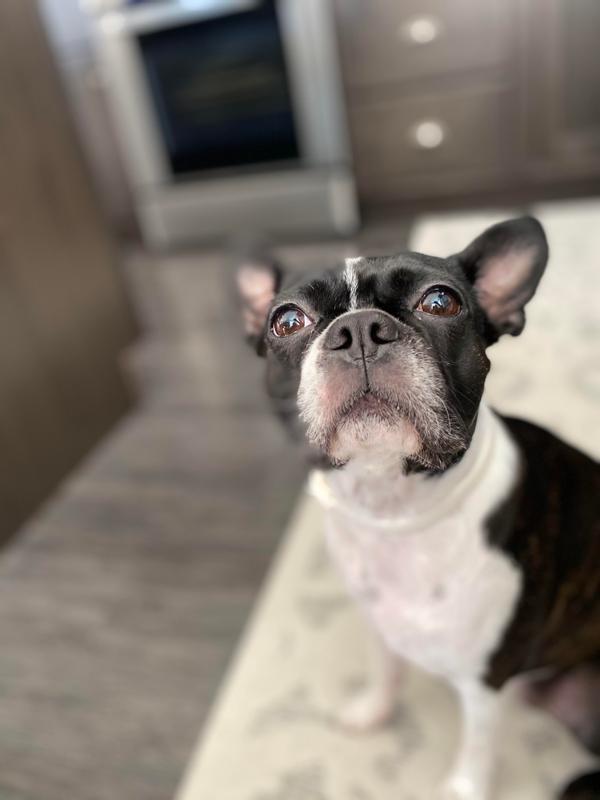 Photo - commentaire&nbsp;4.