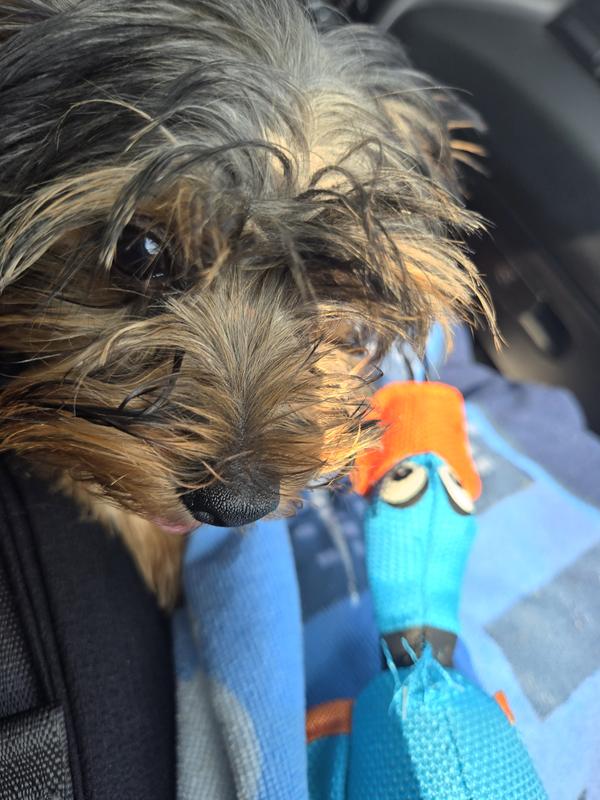 It's only a few hours old