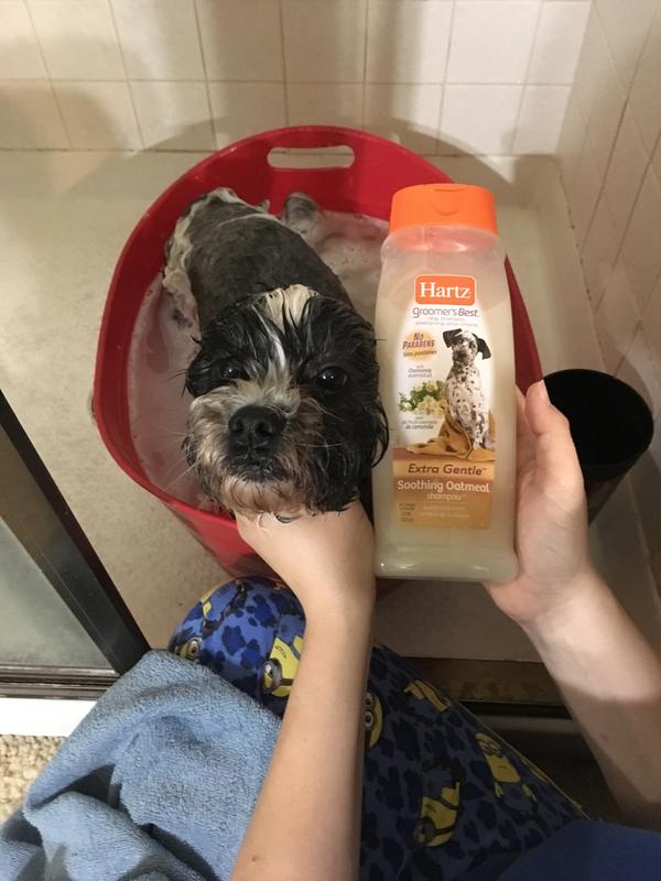 Hartz puppy shampoo seizures best sale