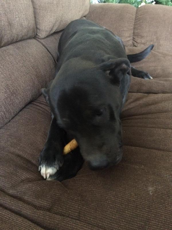 She LOVES these Oinkies Twists!