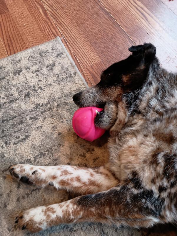 Snoozing with her ball