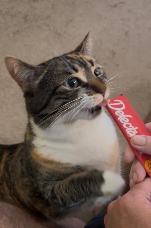 A tasty dream treat come true!