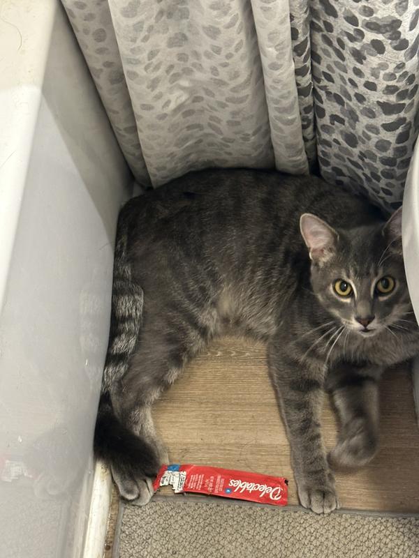 So good I tak them out of the trash!